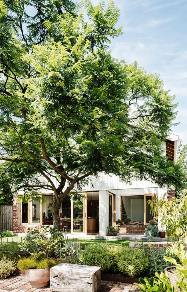 Jacaranda House, Preston, Nest Architects
